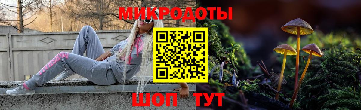 Псилоцибиновые грибы мицелий  Псилоцибиновые грибы Cubensis  Гуково  Вход с VPN 