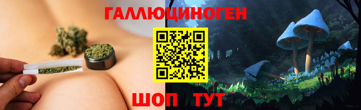 Псилоцибиновые грибы GOLDEN TEACHER Гуково